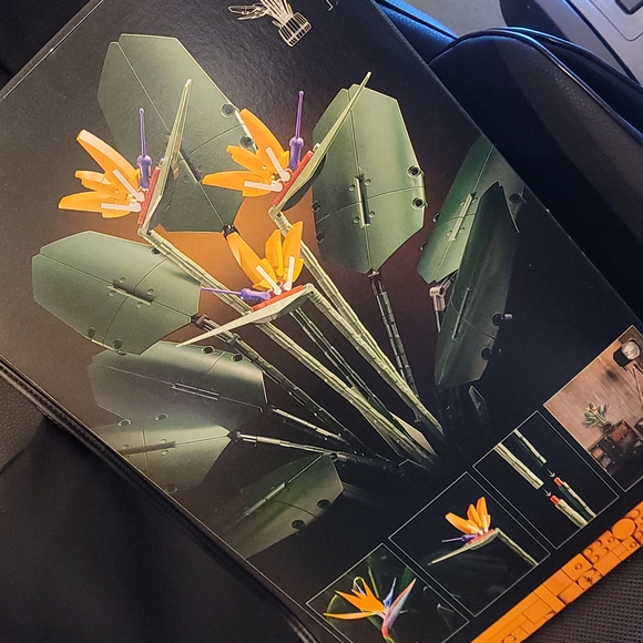 *RETIRED* LEGO Botanical Collection, Bird of Paradise - Picture 10 of 10